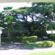 University of the South Pacific Car Park